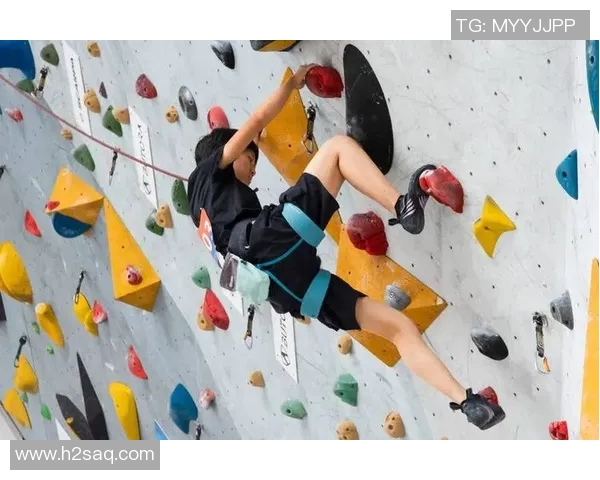 上海攀岩队心理素质分析与提升策略探讨之旅 上海攀岩队心理素质分析与提升策略探讨之旅