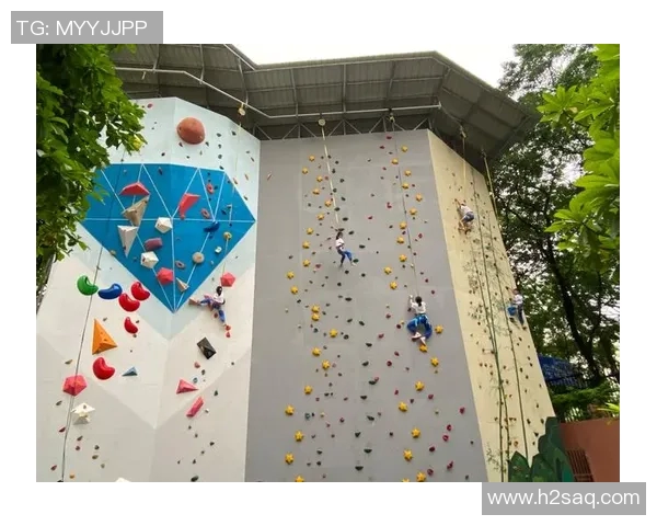 杭州攀岩队技术探讨与训练心得分享助力攀岩水平提升