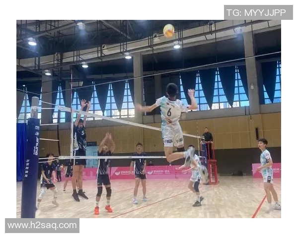 杭州排球队团队协作能力创新高引领全国排球新风潮