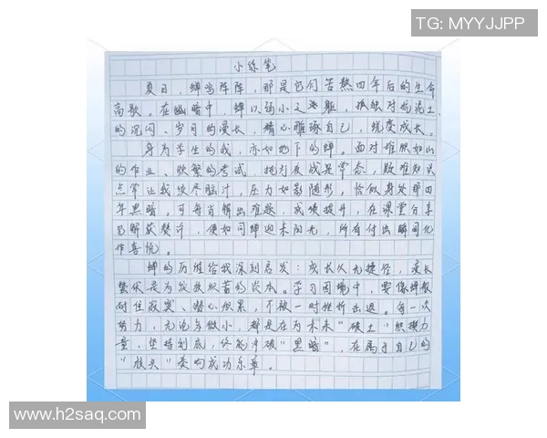 深度对话：探寻张静在网球世界中的奋斗与成长之路