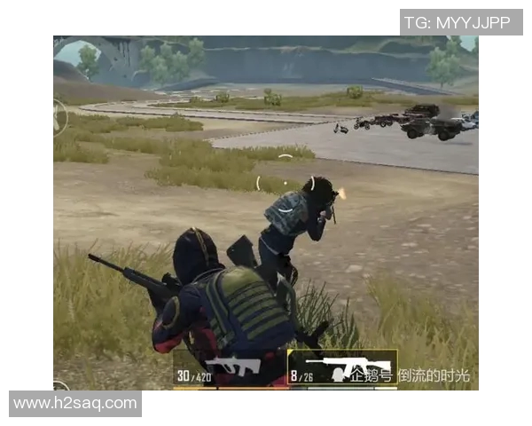 刘秀英畅谈和平精英发展历程与未来展望的深度专访