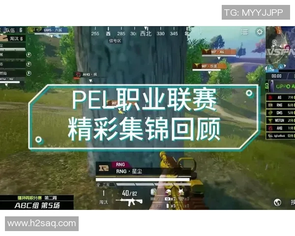 和平精英评论：RNG在赛场上的反击与失误分析