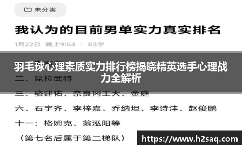 羽毛球心理素质实力排行榜揭晓精英选手心理战力全解析