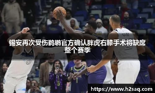 今年会平台入口